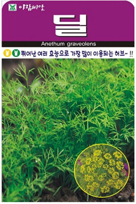 아람종묘 허브 딜 씨앗 300p, 1개