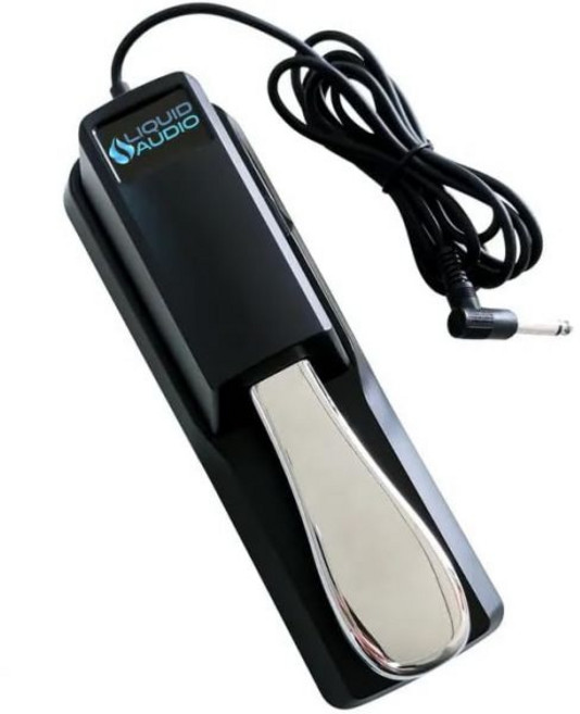 전자 피아노 페달 풋스위치 키보드 디럭스 지속 Yamaha 야마하 카시오 롤랜드 코그 베링거 무그 키보드에 이상적인 유니버설 극성 스위치 1 4인치 입력 플러그 확장된 6.5피, 전자 피아노 페달 풋스위치 키보드 디럭스 지속 Yama