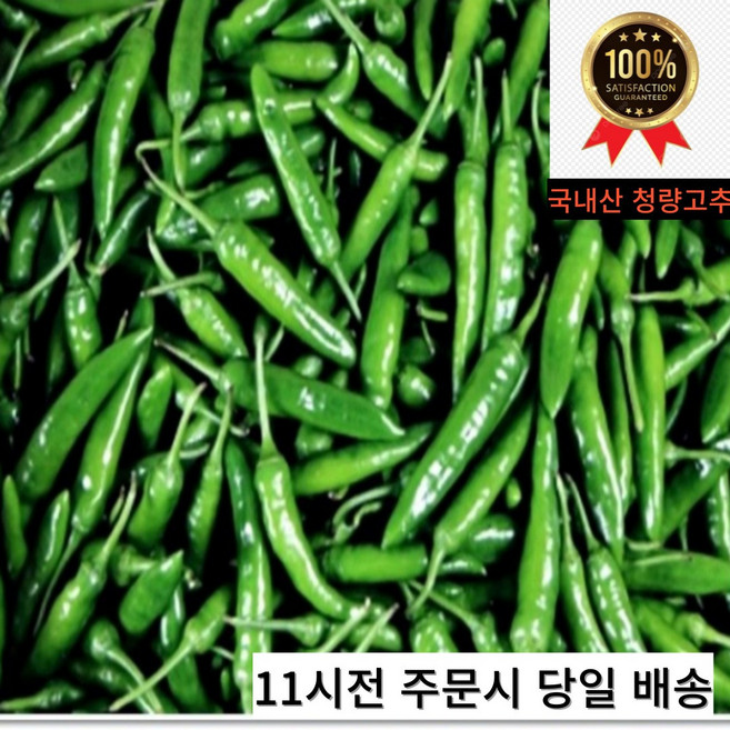 국내산 청량고추 매이져 진주청량 특품 청량고추1kg 2kg 3kg 5kg 10kg (내외), 1개, 청량고추 특품 500g