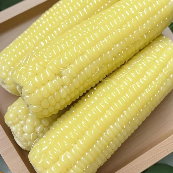 샤콤 프레시 농장 백찰옥수수 냉동 옥수수, 30개, 백찰 대