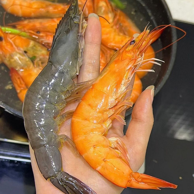 국내산 제철 흰다리새우 신안산지직송, 1박스, 1kg
