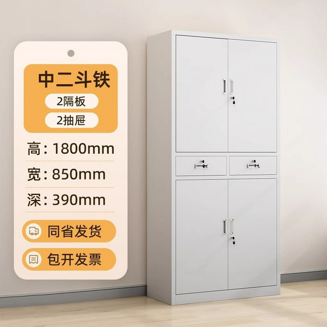憑證櫃 文件櫃 財務檔案櫃 辦公室資料櫃 儲物櫃 鐵皮櫃 附鎖 高1800mm 寬850mm 深390mm, 中二斗鐵文件櫃,常規款