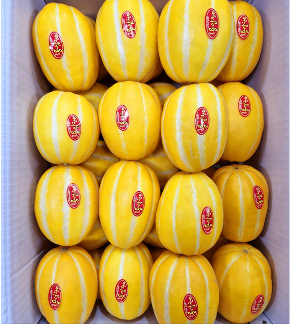 성주 참외 당도 선별 소과 중과 가정용 혼합과 5kg 3kg 2kg, 1박스