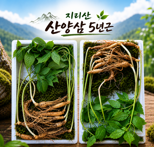 [지리산자연산삼] 지리산 산양삼 5-6년근 산지직송 장뇌삼 산양산삼 새싹 삼 선물용, 20개, 2g