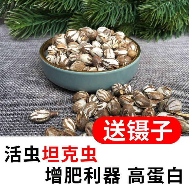 슈가 글라이더 키우기 꿀 스낵 식품 꿀 식품 주식 햄스터 스낵 풀 곰 다람쥐 분양 포치, 45 개의 탱크 웜, 1개