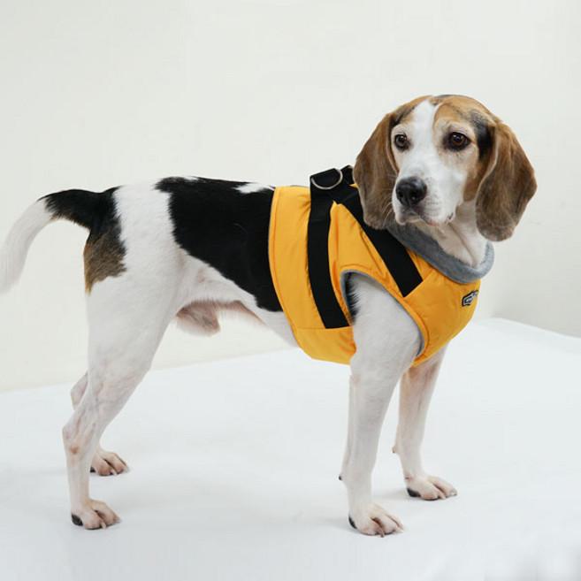 RealPet 대형견 숏패딩 하네스, Yellow, 1개