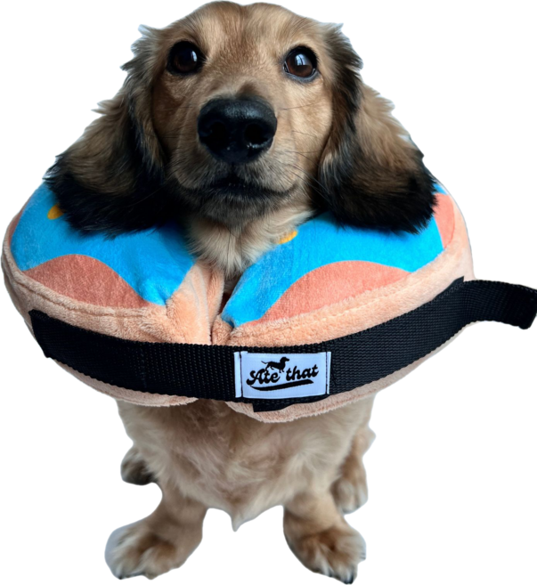 에잇뎃 강아지 넥카라겸용 수영목튜브, 1개, 연분홍색