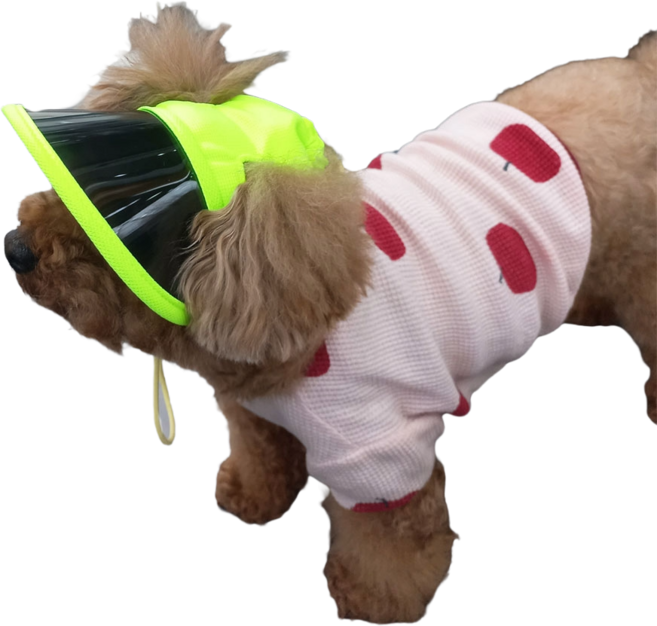 하니펫 반려동물 자외선차단 썬캡 모자, 형광노랑, 1개