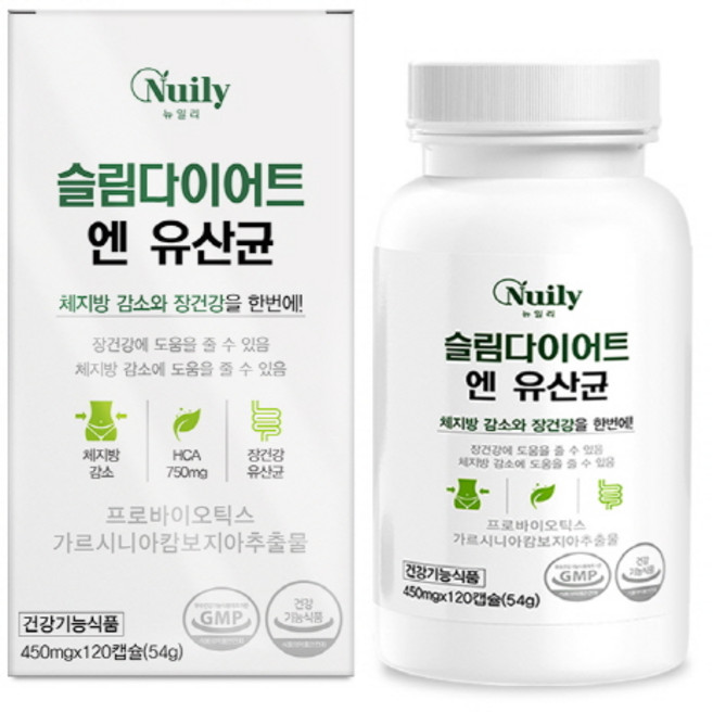 슬림다이어트 앤 유산균 프로바이오틱스 가르시니아 장건강 HCA 체지방감소 배변활동원활 기능성 혼합유산균 120캡슐, 1세트, 120정