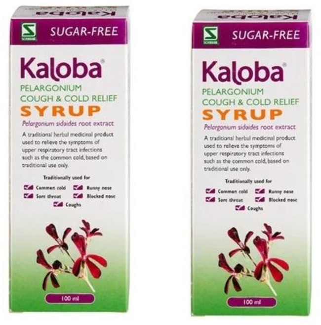 Schwabe 슈바베 파마 칼로바 시럽, 2개, 100ml