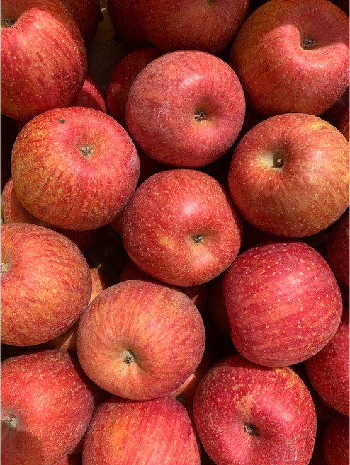 [청송심부자농장] 진짜껍질째먹는 가정용 빨간 햇사과(미얀마) GAP인증 저탄소인증 잔류농약검사완료 순수알무게4.5kg 9kg 고당도 가정용기스 정품꼬마사과 저농약사과, 청송사과  꼬마사과 정품 4.5kg(24~28과), 1개