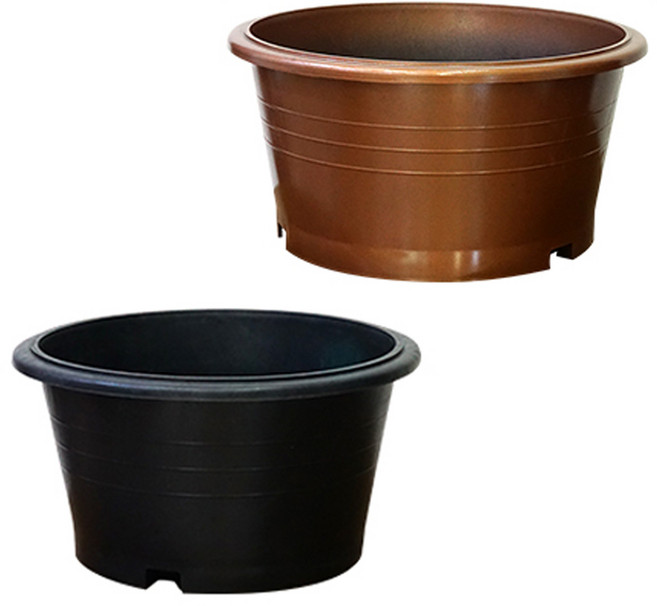 대륙 도로화분 대형화분 일반형블루베리600, 1개