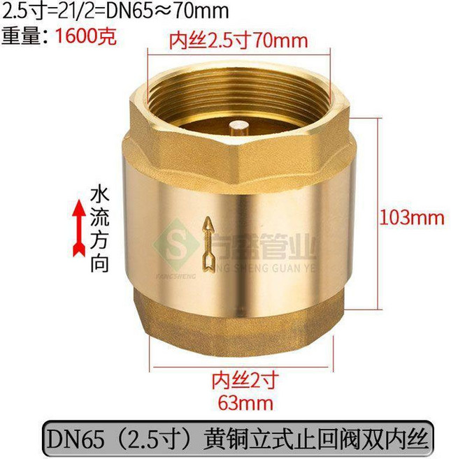 全銅內外絲止回閥4分6分1寸水管管道彈簧單向閥立式防反水逆止閥 副廠商品, 2. 5寸雙內牙立 式止回閥, 1個