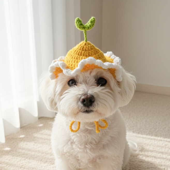 미유틱 고양이 강아지 모자 보닛, 1개, 1. 옐로