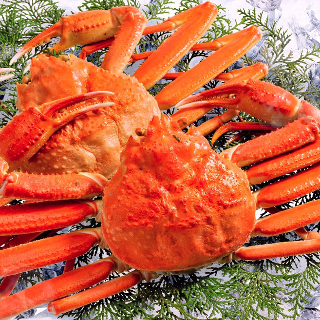 [수율80%이상] 러시아 뚱땡이 대게 자숙, 1박스, 3kg 실속