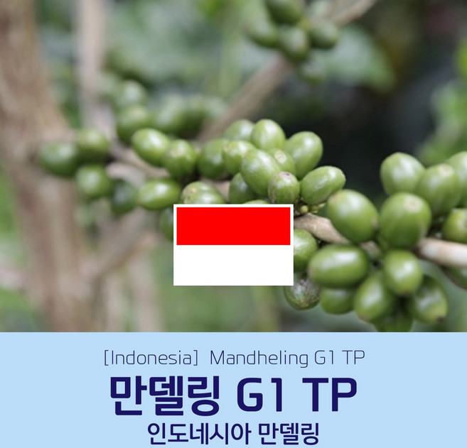 [인도네시아] 만델링 G1 TP 세웅지씨 산지 직수입 생두 1kg, 1개