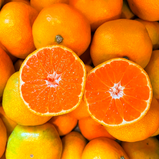 [300박스한정] 단독특가 고당도선별 제주 카라향, 1개, 2kg 로얄