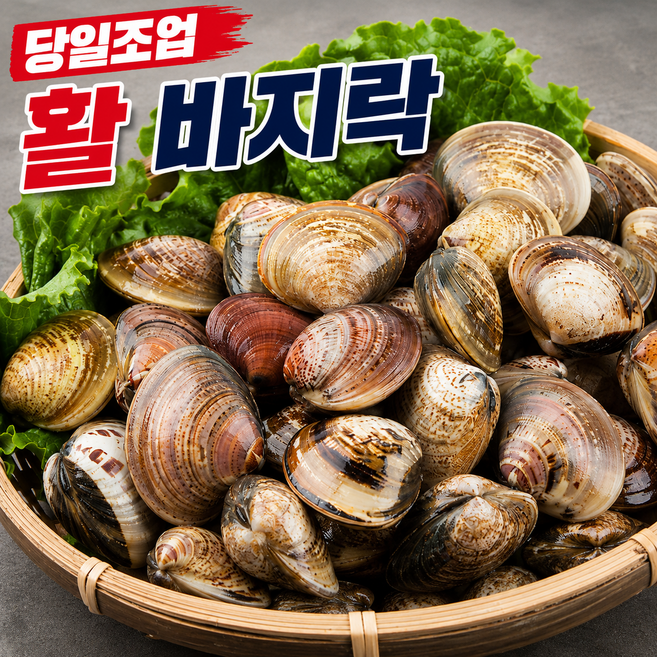 [당일조업] 국산 남해안 자연산 왕 바지락 활바지락 산지직송, 1박스, 1kg