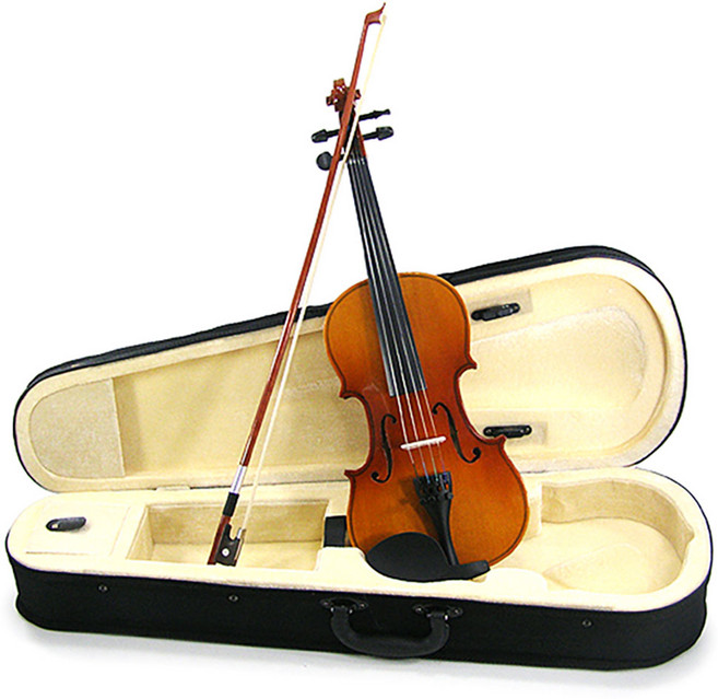 비투비돔 바이올린 교육용 어린이 성인 레슨용 연습용, 1개