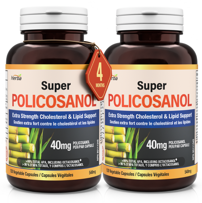 폴리코사놀 40mg 120식물성캡슐 9가지 지방족 알코올 99.23% 옥타코사놀 62.56% 함유 고함량 슈퍼 Policosanol 허바 캐나다, 2개, 120정