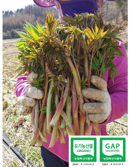 (예약상품) 유기농산물-눈개승마/삼나물 1Kg (﻿강원도 홍천군 내면 고랭지 재배 및 육묘 농가에서 직접 판매), 1개