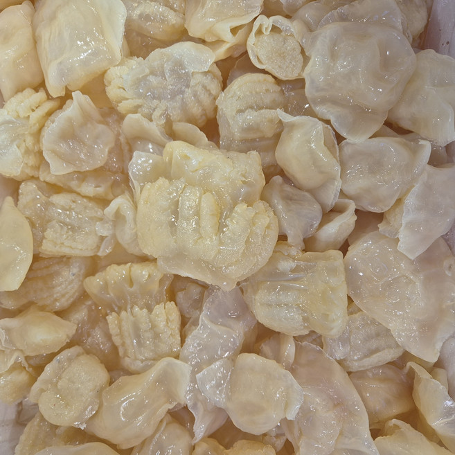 해파리머리(캐논볼) 가정용 / 웰이츠, 5개, 1