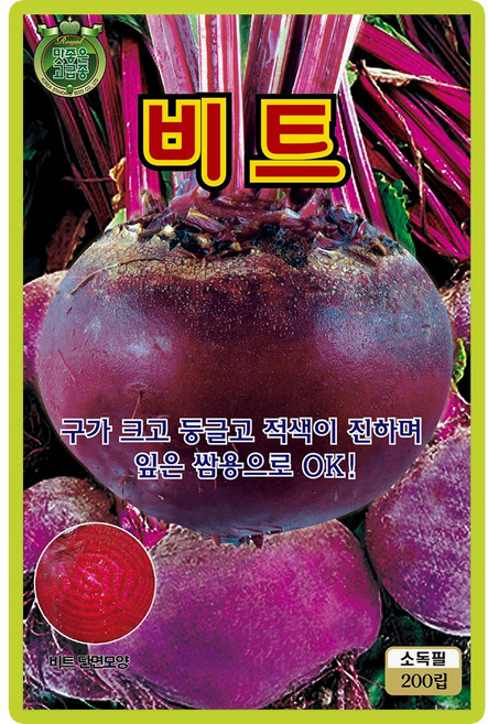 산들마켓 디트로이트 비트 씨앗 200립 구가 크고 잎은 쌈용으로 좋고 숙기가 빠른 맛좋은 고급 품종, 1개