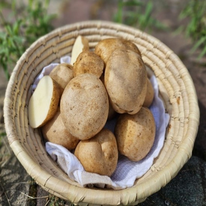 국내산 햇 수미 감자 3kg (중/40~70g), 1개, 3000