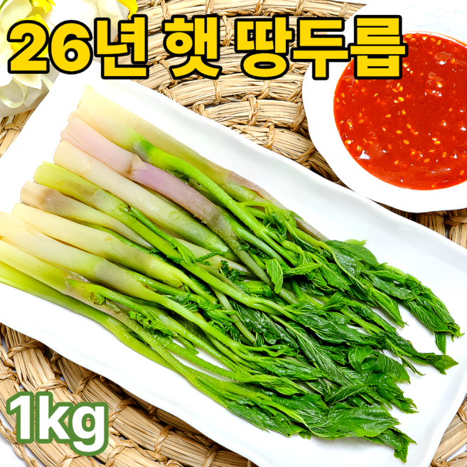 [농가직송] 2026 프리미엄 땅두릅 당일수확 햇두릅, 1개, 1kg