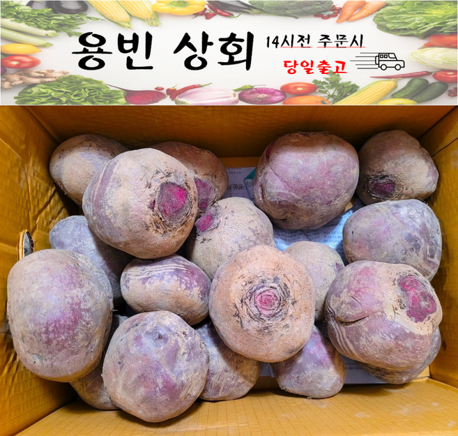 ( 용빈 상회 ) 제주비트 레드비트 비트 못난이 10kg내외, 1박스