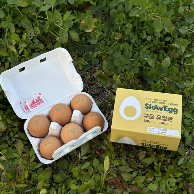 슬로우에그 난각번호 2번 구운란 6구 패키지 1개 (총6구)
