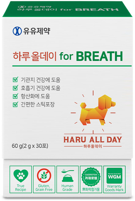 하루올데이 강아지 기관지 영양제 감기 협착증 거위소리 켁켁거림 심장 카제로템 2gx30포, 30회분, 호흡기/기관지, 1개