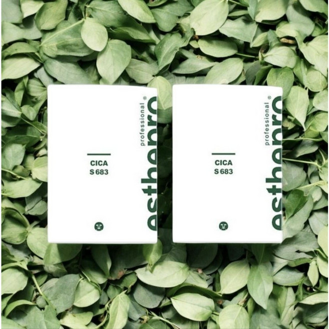 에스테맥스 시카 시트마스크 683, 10개입, 2개