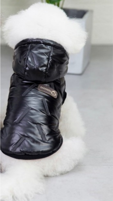 헬로마트 강아지 우주 후드 패딩 2종, 1개, 블랙색상