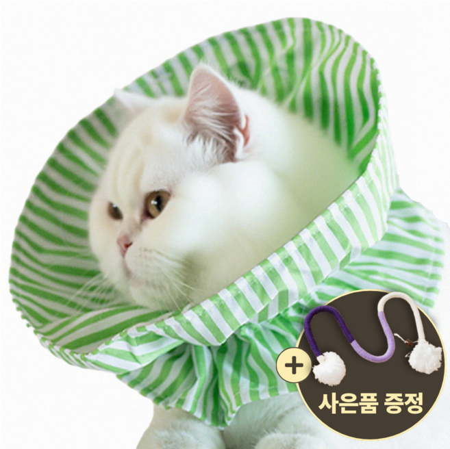 [speedmong] 목편한 초경량 시야 확보 반려동물 편안한 넥카라 고양이 강아지 깔대기 중성화, 민트그린, 1세트