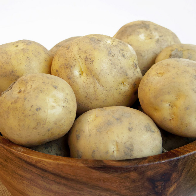 국내산 제철 햇 감자 수미감자, 1박스, 왕특 5kg