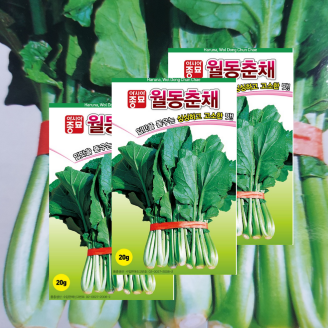월동춘채씨앗 20g 3개 하루나씨앗 싱싱하고 고소한 맛 아시아종묘