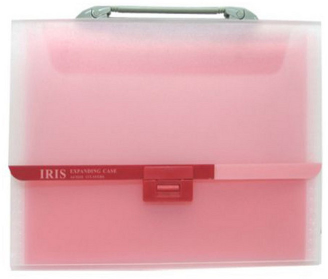 드림산업 A4 도큐먼트 파일 12칸, 1개, 분홍