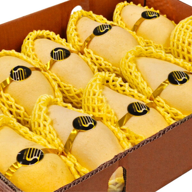 [다인푸른농장] 항공직송 남독마이 태국망고 5kg (10-14과), 1개