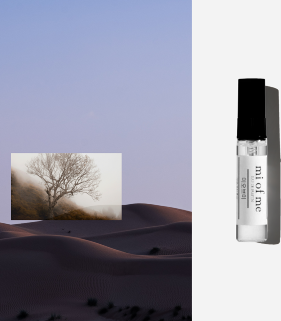 미오브미 모하비고스트 니치 향수 오드퍼퓸, 1개, 5ml