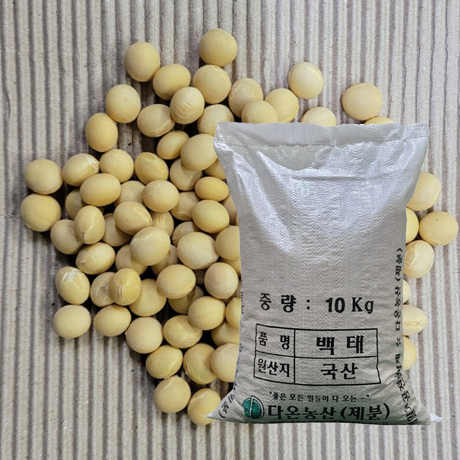 [다온농산] 2025년산 국산 백태/메주콩/흰콩/두부콩 -10Kg- (강원도 홍천 인제 농가), 10kg, 1개