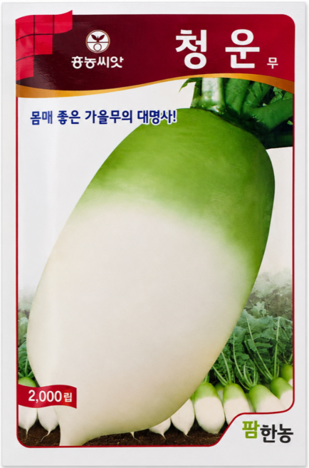 천수무 씨앗 2000립 다발 종자 조선 김장 가을 무 육질 단단 저장성 우수 텃밭 채소 씨앗 팜한농, 1개