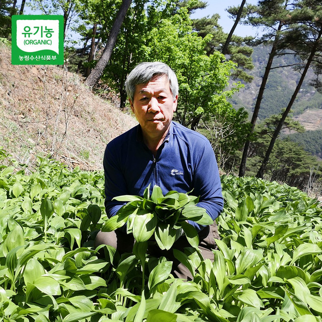 친환경마음밭 지리산 유기농 산마늘 생 명이나물 장아찌 제철 봄 나물, 1개, 1kg