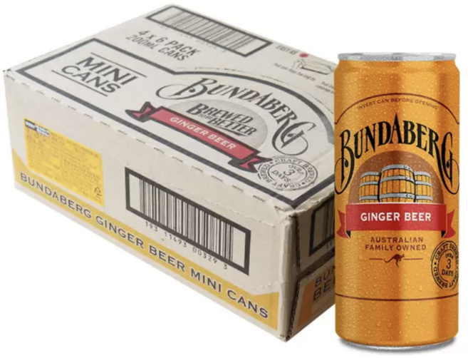 분다버그 진저비어캔 200ml 24캔 미니캔 탄산음료 대용량 코스트코, 4.8L, 1박스