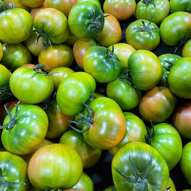 대저토마토 특품 2.5kg 당일수확 산지직송 제철 과일, 1박스, 대저토마토 특품(L)과 2.5kg