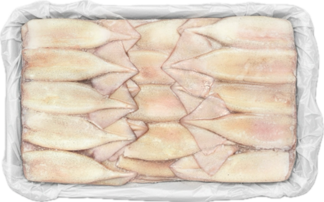 냉동 손질오징어 몸통 10kg 오징어튜브 선동 포크, M 120-150 10kg, 1개, 10kg 120/150