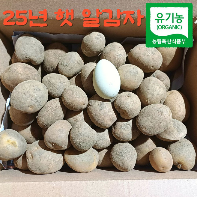 강원도 햇 수미 알감자 조림용 유기농, 1개, 5kg
