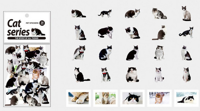 귀여운 고양이 6종 스티커 일러스트 다꾸 취미 폰꾸 냥이 칼선 stiker, 1세트, 캣_블랙