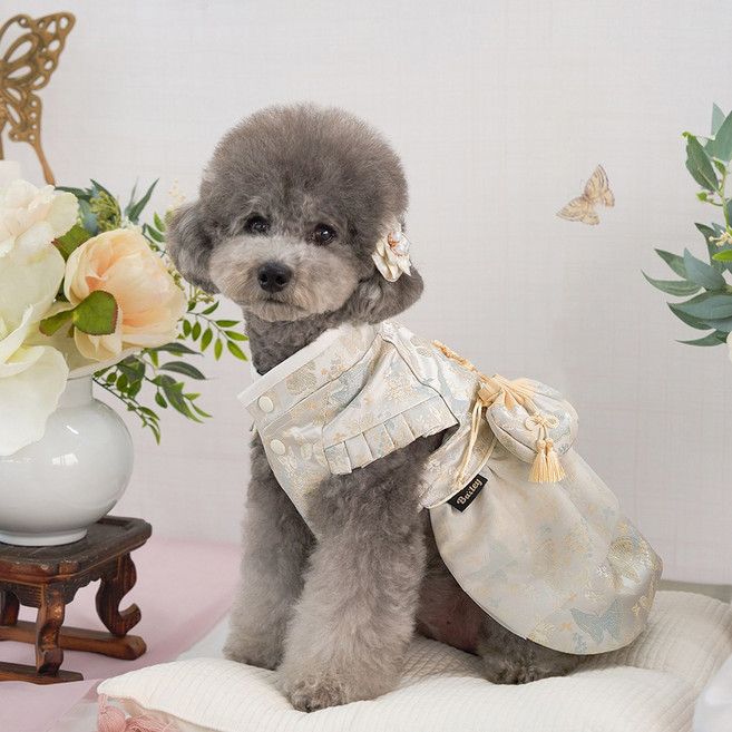 베일리펫 강아지 애견 명절 항균 고운나래한복, 1개, 노란빛