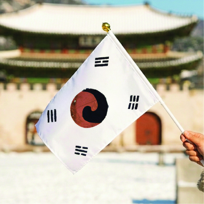 독립운동 수기 태극기, 진관사 태극기, 1개